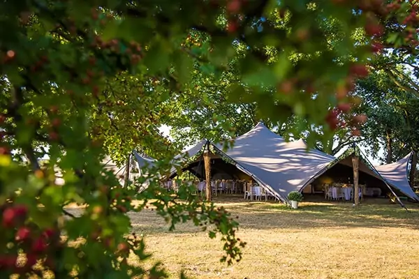 the-oak-grove